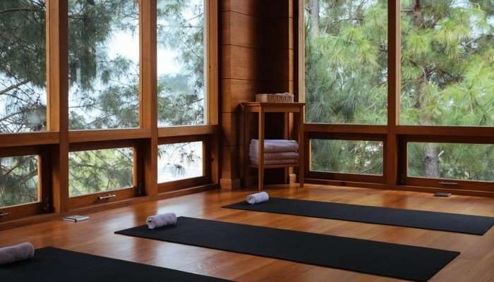 Dhensa Resort Punākha Fasiliteter bilde